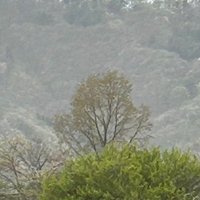 とうりゃ (@ikihayoiyo) 's Twitter Profile Photo