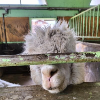 うちはけんとや色んな人絡もや〜
無言フォロー失礼 初絡み大歓迎
テキトーにやってます!
好きなジャンル VTuber系統 ゲーム系統 ネタ系統 歌系統 動物系統 どの系統の人も大歓迎!
知らない系統とか教えてくれたら嬉しいです
(頑張りたいこと)
絵の練習、人との会話などなど
無言フォロー失礼!!終