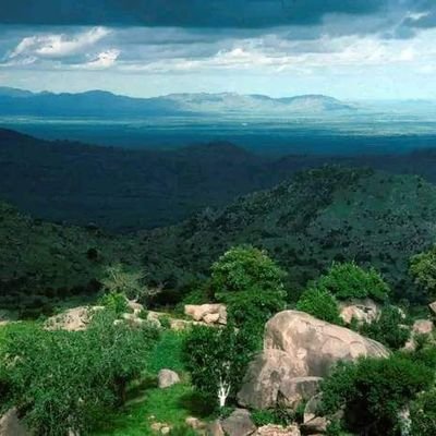 kuranabasa001's profile picture. Crypto is the future 👌