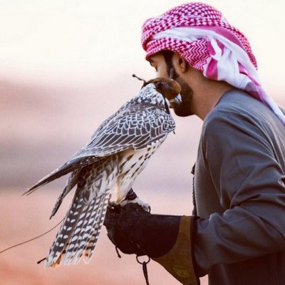حصنتك بسم الله يا وطن 🇦🇪