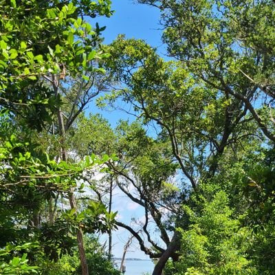 adi_pg54's profile picture. 