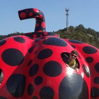 Kaspar_k (@kaspar_mit_k) Twitter profile photo