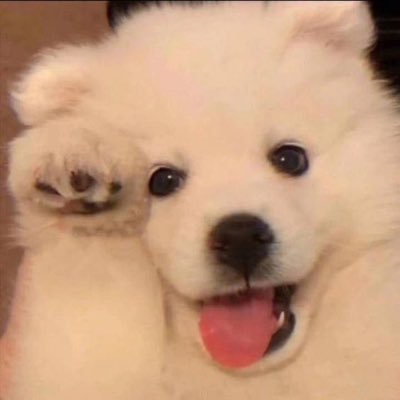 Jaohomjomzon's profile picture. เฮเดร้านเจ้าหอมสวัสดีค้าบ สนใจวัตถุดิบเฮเดทักไลน์ได้เลยค่า ไม่ตอบ dm น้า🫐🍒