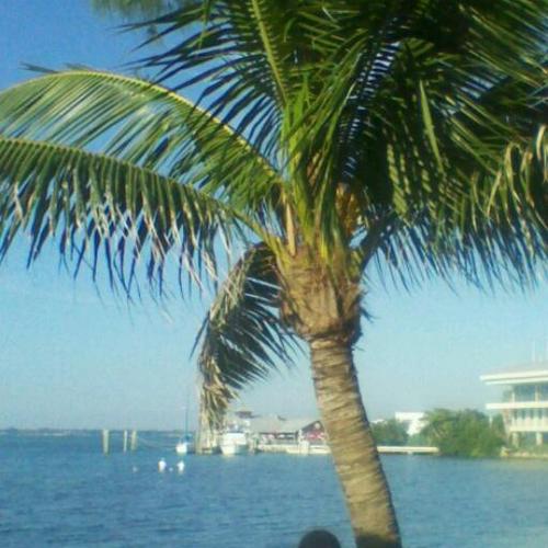 fettersarmstron's profile picture. World watching, Animal Loving, Earth Caring Person with values!