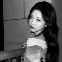 𓇼 (@lavianderhaze) 's Twitter Profile