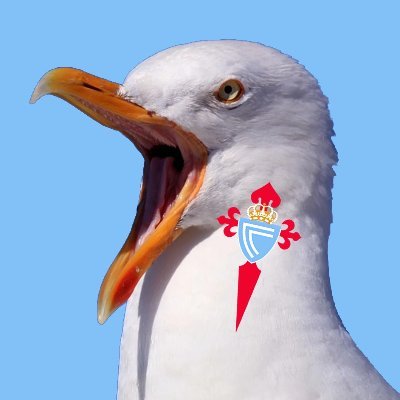 Mercado celeste, filtracións, bombazos. Toda a merda que necesites durante Xullo e Agosto para ilusionarte. A xusta e necesaria para logo decepcionarte.