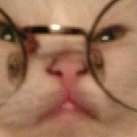 🫒tafifa🍉 (@proseccoglitter) 's Twitter Profile
