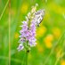 Love the South Downs (@southdownsfans) Twitter profile photo Love the South Downs (@southdownsfans) Twitter profile photo
