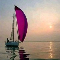 كلام الروح (@artf407) 's Twitter Profile