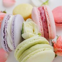 The Real Macaron Co. (@real_macaron_co) 's Twitter Profile Photo