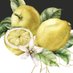 Villa di Elisabetta (@elisabetta_shop) Twitter profile photo Villa di Elisabetta (@elisabetta_shop) Twitter profile photo
