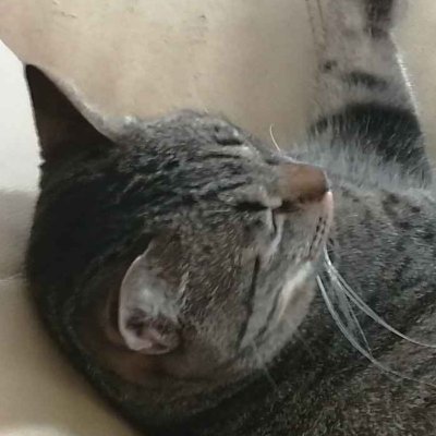 rgdp5r's profile picture. すーぱーめんへらびーむ