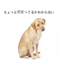 ゲンキー (@genkey) Twitter profile photo