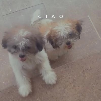 favour47451's profile picture. 