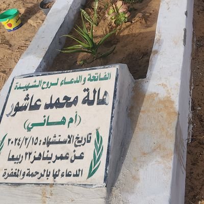 This account belongs to martyr Hala from Gaza 💔 She was killed and left behind 3 young orphaned children.💔15/2/2024