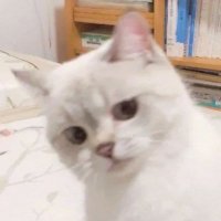 谁将十万横扫三江 (@lslymlwxc) 's Twitter Profile