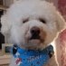 TheMagnificentChuck (@mag_centchuck) Twitter profile photo TheMagnificentChuck (@mag_centchuck) Twitter profile photo