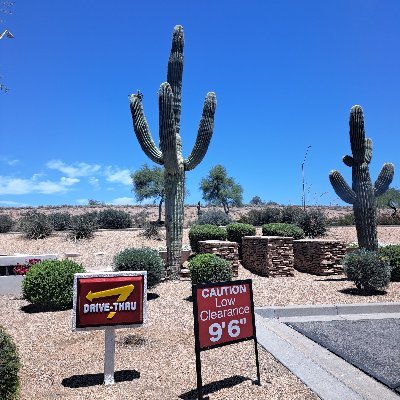 TessontheEdge's profile picture. 