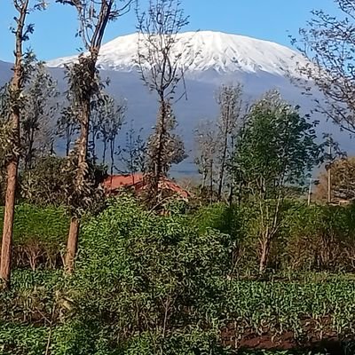 anto_parry62548's profile picture. 