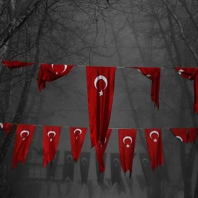 Hisim446's profile picture. 