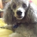 Beth Stapleton - @beth_stapleton - Twitter