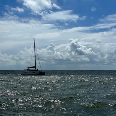 catwmn69's profile picture. love my Country, believe in 2A and believe to protect our Constitution