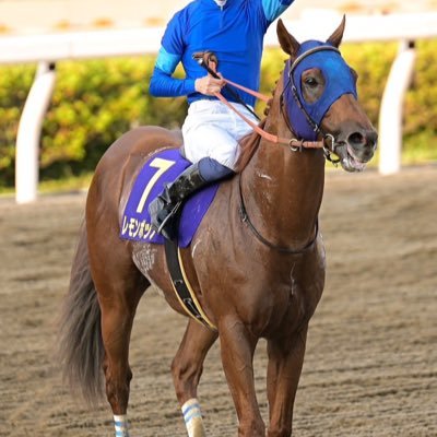 KK_hirogunso's profile picture. 競馬がだいすきです/馬が好きで趣味でもあります