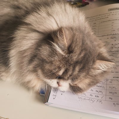 phetchaplan's profile picture. 🤓🥼🩺