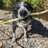 Tonio_ortega's profile image