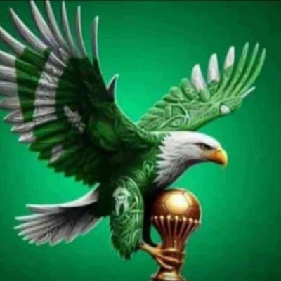 Engr_billions's profile picture. 