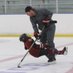 Make Hockey Violent Again (@magahockey) Twitter profile photo Make Hockey Violent Again (@magahockey) Twitter profile photo