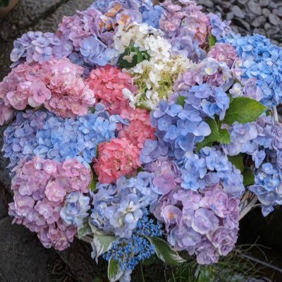 utLh5gGMm8uTsV3's profile picture. 