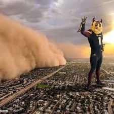 funnyNphat's profile picture. horhay here, come to a show
fuck uofa 😂😂😂😂😂😂😂😂