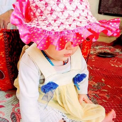 WalZam15702's profile picture. 