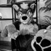 will (@durrdog) Twitter profile photo