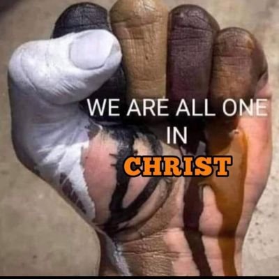 Seqfu's profile picture. 