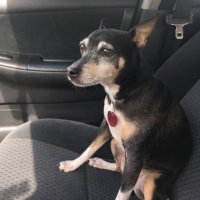 Tony Vis (@tonydvis) 's Twitter Profile