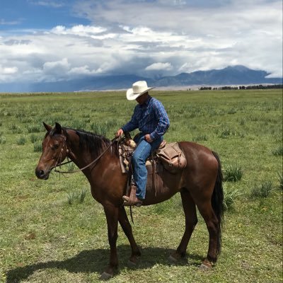 rockin_A_K's profile picture. 🇺🇸🇩🇪✝️🐂 Romans 12:11
