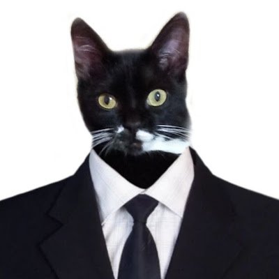 AK774547's profile picture. 