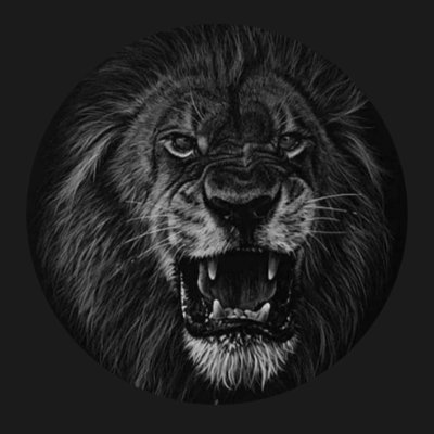 leokitty024's profile picture. 