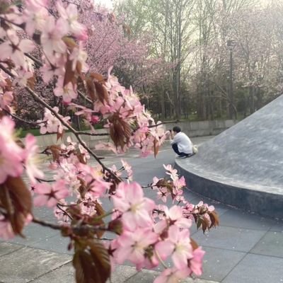 Matcha013's profile picture. 01猫の日
しゃちくぷろぐらまー
北海道▶東京

普段ツイートすることは無いけどする時は多分おたくしてる