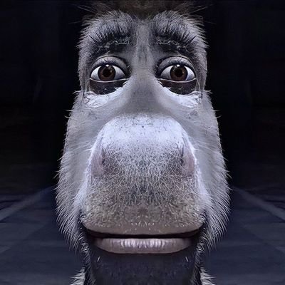 securelawz's profile picture. Security & Infra   | Part time bug hunter