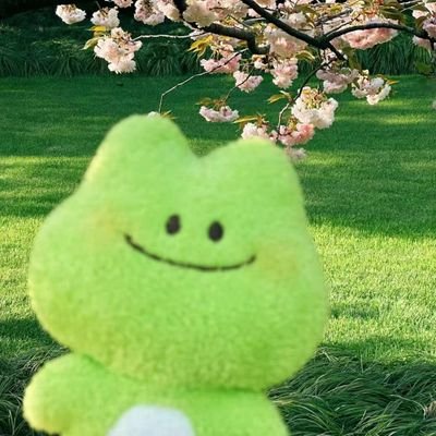 otecake's profile picture. 一个漂亮可口的绿果子