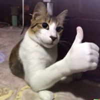 spy | hylianusual (@hylianuusual) 's Twitter Profile