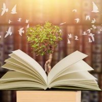 aydin (@hislerduygularr) Twitter profile photo