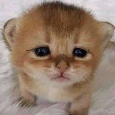 ville77_'s profile picture. 🇸🇪