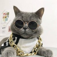 ESP Fr0ze (@espfr0ze) 's Twitter Profile