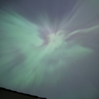 MovingTorb's profile picture. 