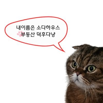 archivejuu's profile picture. 땅부자가 되고싶은
소다누나입니다
재테크와 부동산 공부 중인 집사에요