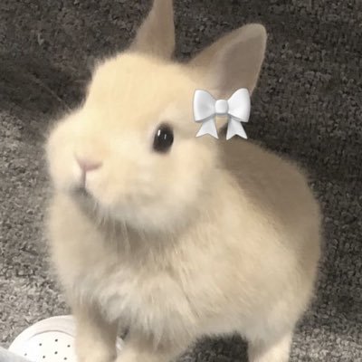원푸리야 •••♡